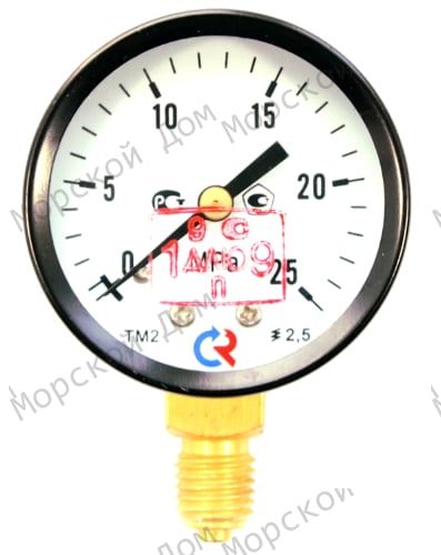 Манометр (0-25 МРа.) ТМ-510 Р.00 (М20*1,5*1,5)