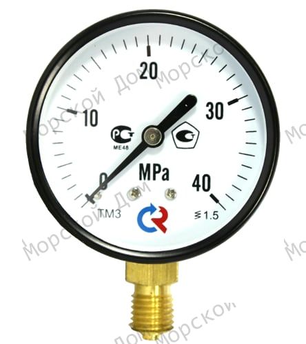 Манометр (0-40 МРа.) ТМ-510 (М20*1,5*1,5)